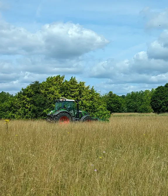 Reproduction de prairies 2 Mesures Compensatoires SGP