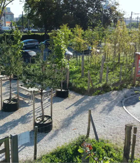 Travaux d’installation des réseaux d’arrosage automatique, stations de pompage, bassins et fontaines 3 Pepiniere in Situ