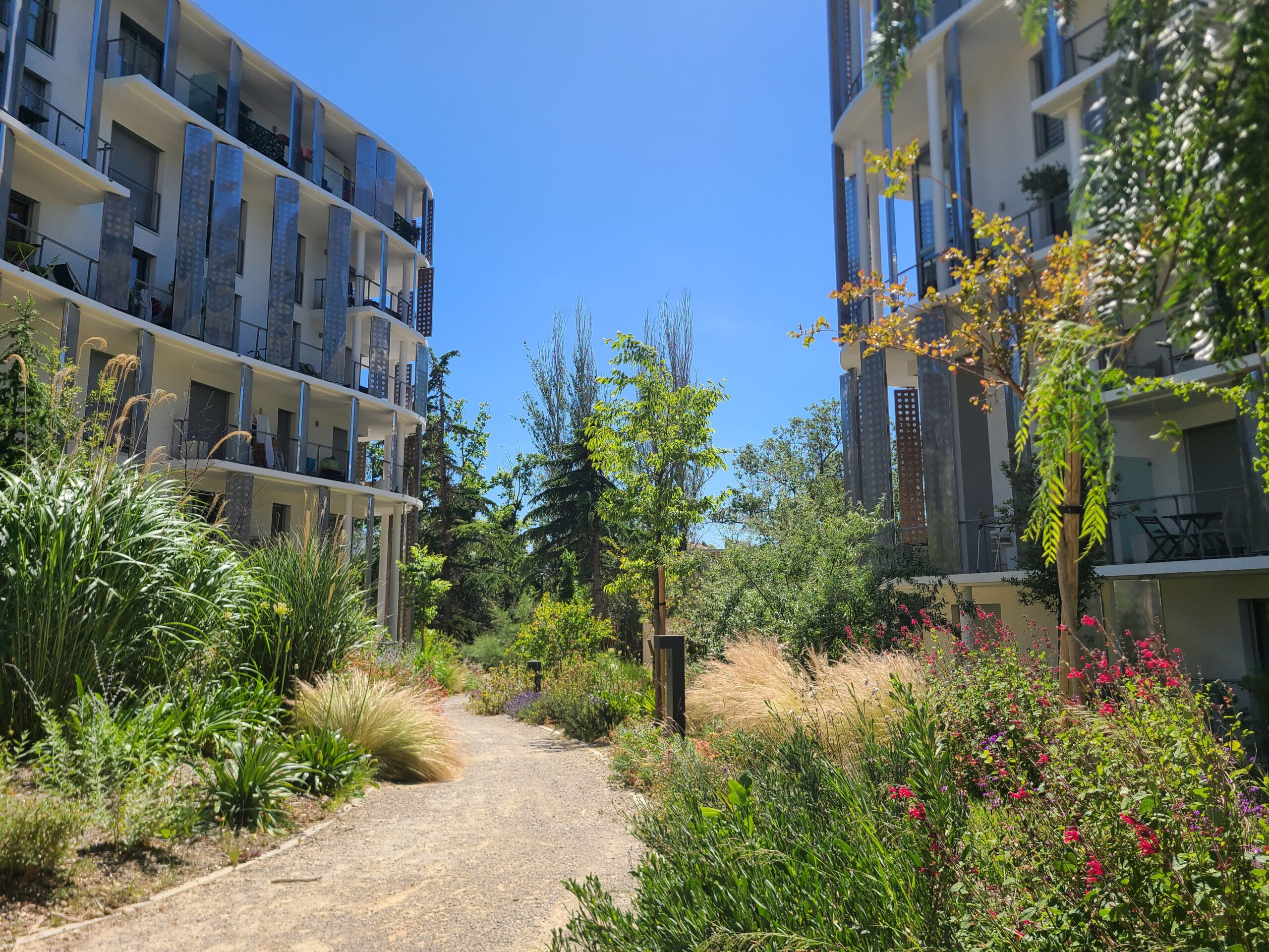 Entretien des espaces verts résidentiels 2 20240531 152447 scaled