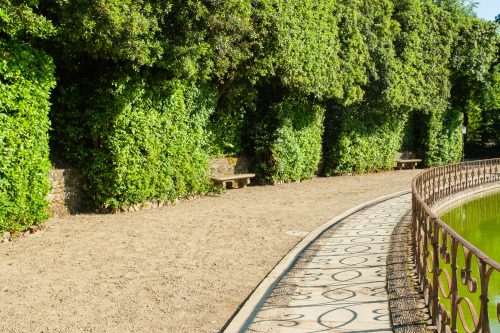 pathway surrounding the pond