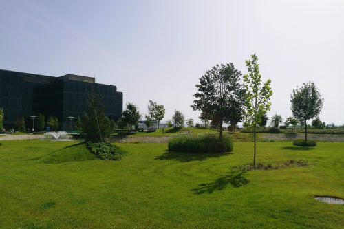 scenic-view-landscape-against-clear-sky